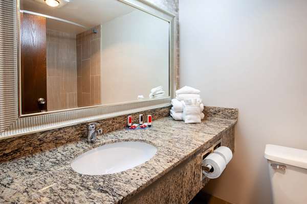  - Wingate by Wyndham Hotel Detroit Metro Airport Romulus