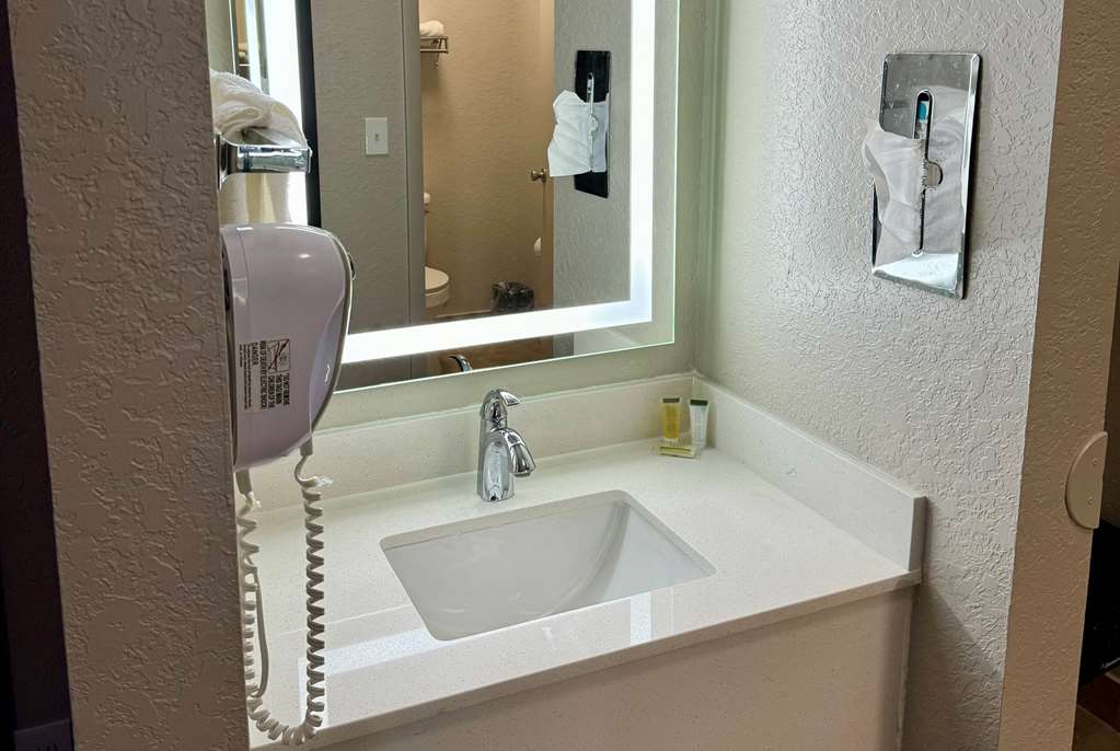 DAYS INN BY WYNDHAM SARASOTA I-75-guestroom-Guest Room,Bathroom,On-Site.jpg