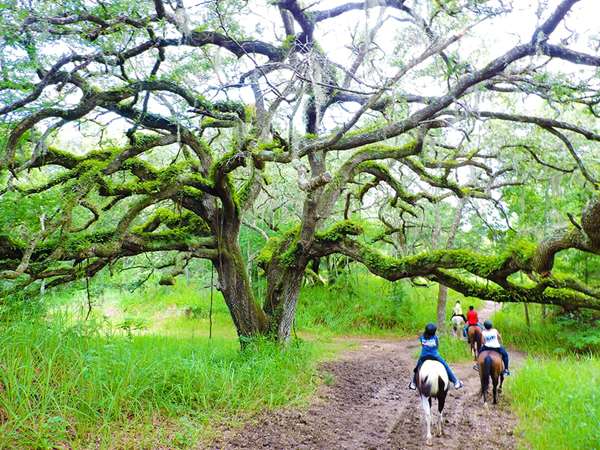  - Howard Johnson Inn Ocala - I-75, Exit 354