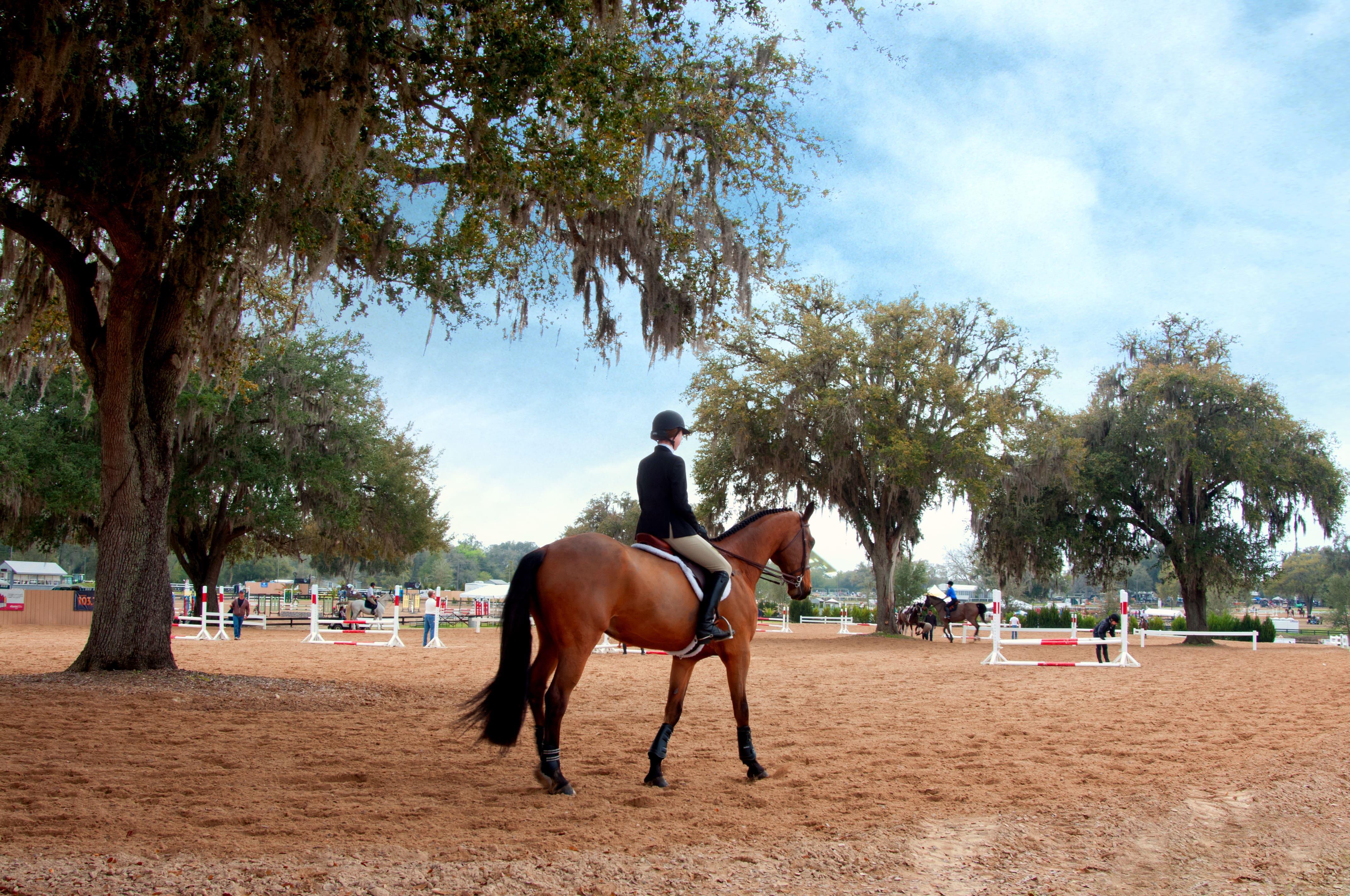 Property amenity | Howard Johnson by Wyndham Ocala FL I-75