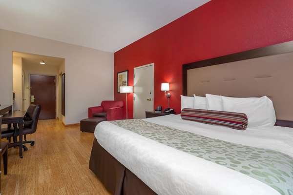  - Wingate by Wyndham Macon - I-75, Exit 169