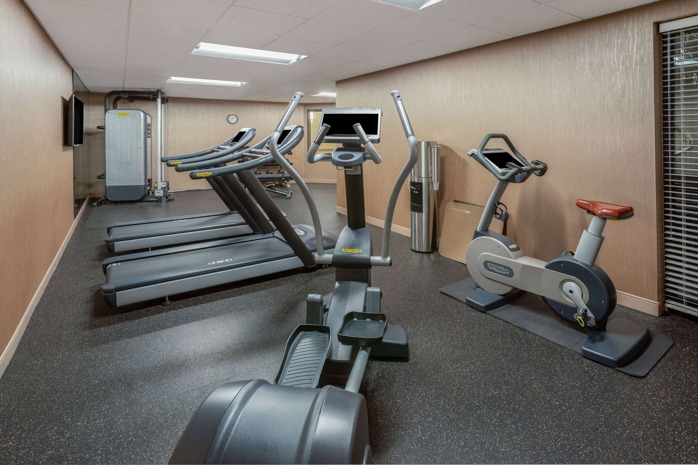 Health club fitness center gym