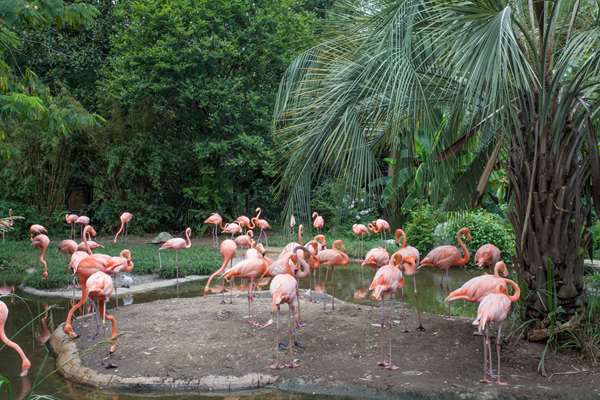  - Super 8 Motel Columbia - I-20, Exit 70