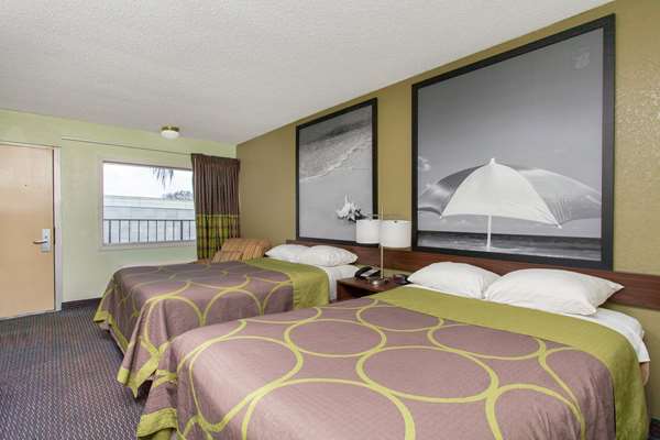  - Super 8 Motel US 19 North Clearwater