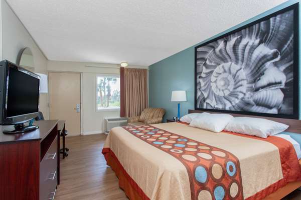  - Super 8 Motel US 19 North Clearwater