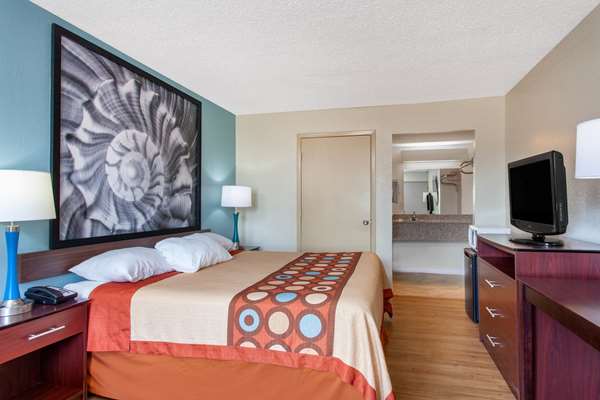  - Super 8 Motel US 19 North Clearwater