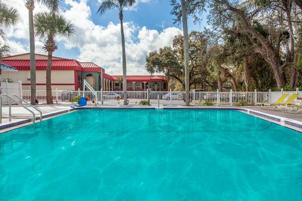 Pool - Super 8 Motel US 19 North Clearwater