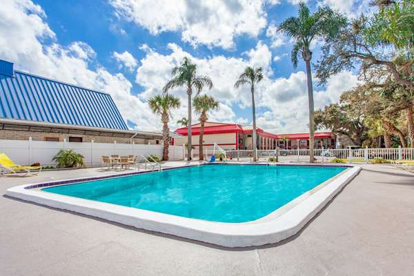 Pool - Super 8 Motel US 19 North Clearwater