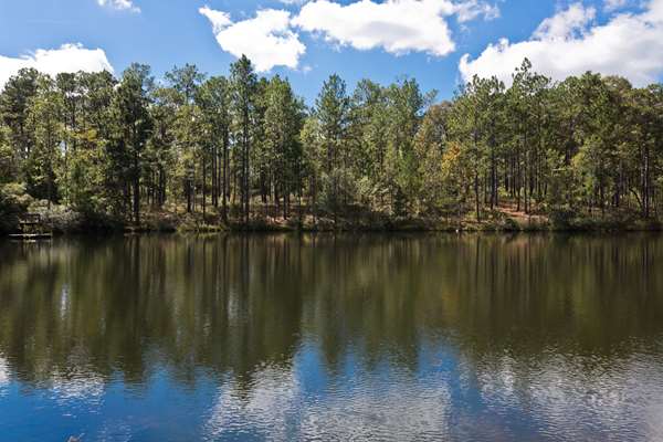  - Super 8 Hotel Chipley - I-10, Exit 120