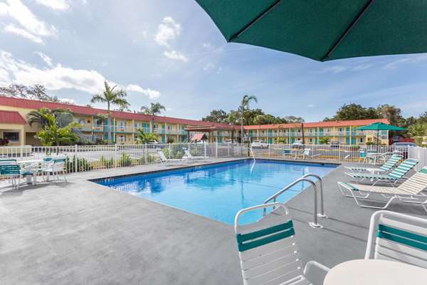 Pool - Super 8 Motel Sarasota