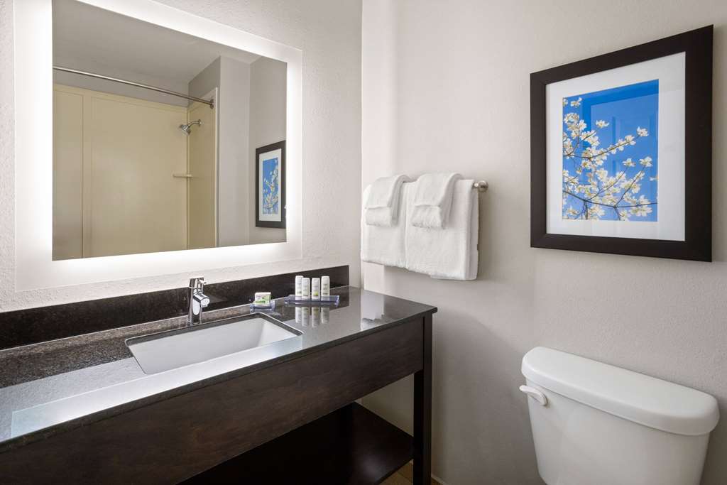 LA QUINTA BY WYNDHAM MOORESVILLE-guestroom-Guest Room,Bathroom,On-Site.jpg