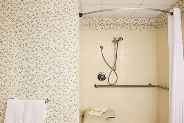  - Days Inn Grayling - I-75, Exit 254