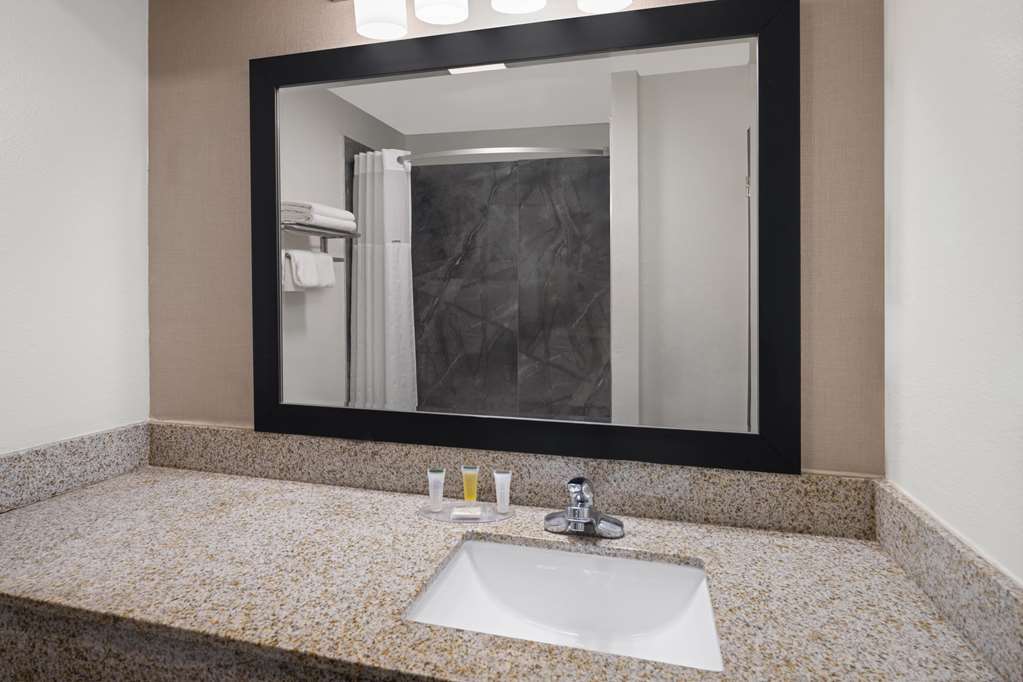 RAMADA BY WYNDHAM LOCUST GROVE-guestroom-Guest Room,Bathroom,On-Site.jpg