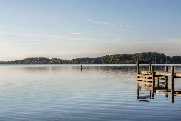  - Super 8 Hotel Manning - I-95, Exit 119