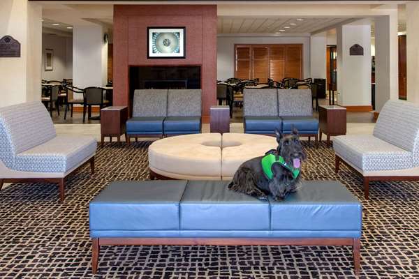  - Wingate by Wyndham Hotel Chantilly