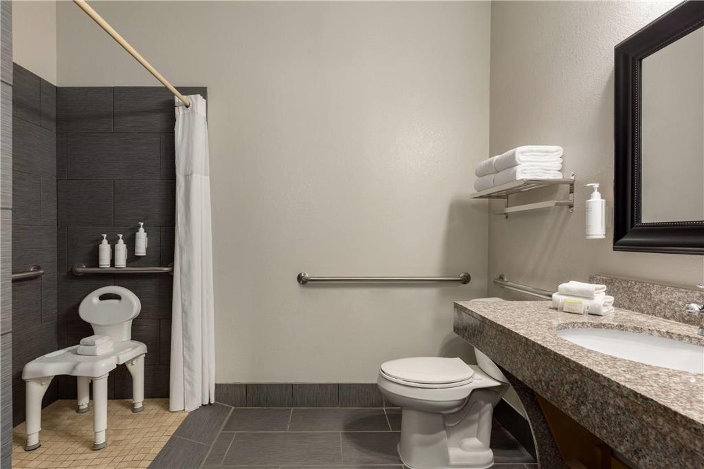 DAYS INN AND SUITES PRATTVILLE-guestroom-Guest Room,Bathroom,Shower,Accessibility,On-Site.jpg