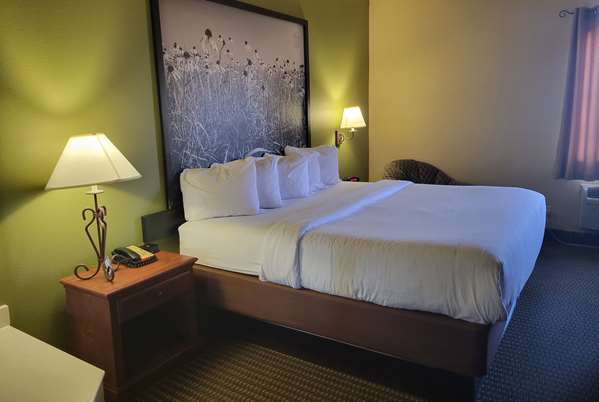 Suite - Super 8 Hotel Troy