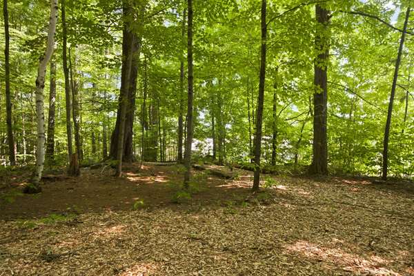  - Super 8 Motel Downtown Lake George