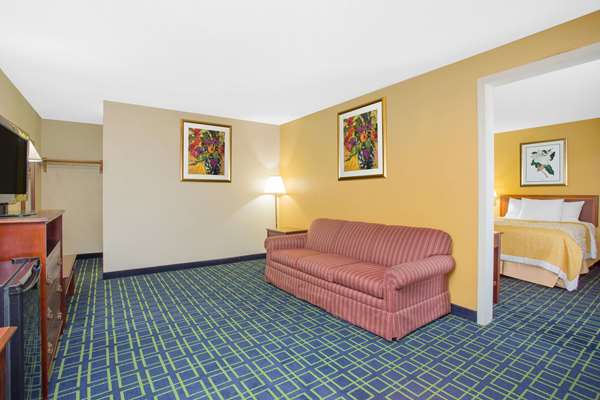 Suite - Days Inn & Suites Greenville - I-385, Exit 37