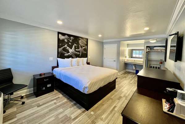  - Super 8 Motel Midtown Monterey