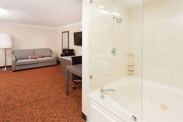 Suite - Baymont Inn & Suites Alsip - I-294, Exit 12