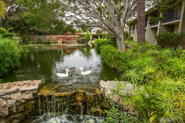 Exterior view - Ramada Limited Hotel Santa Barbara