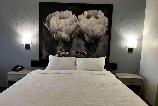  - Super 8 Motel Rosenberg