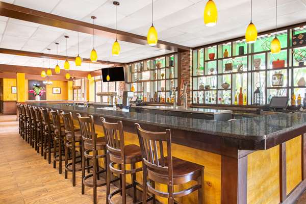 Bar - Ramada Hotel Westshore Tampa Airport