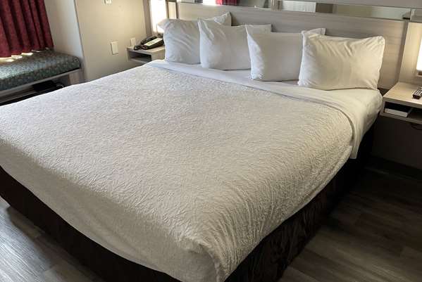 Suite - Microtel Inn & Suites by Wyndham Clarksville - I-24, Exit 4