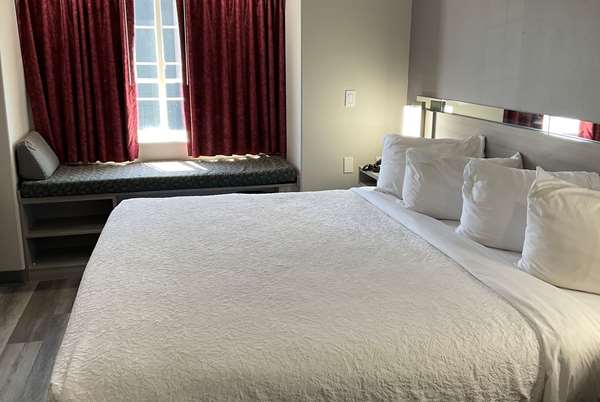 Suite - Microtel Inn & Suites by Wyndham Clarksville - I-24, Exit 4