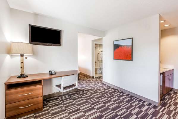 Suite - Microtel Inn by Wyndham Victor