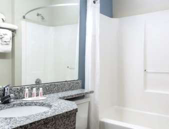  - Microtel Inn & Suites by Wyndham Greenville - I-385, Exit 37