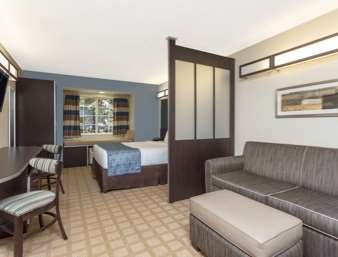 Suite - Microtel Inn & Suites by Wyndham Greenville - I-385, Exit 37