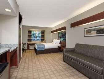 Suite - Microtel Inn & Suites by Wyndham Greenville - I-385, Exit 37