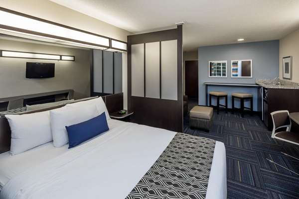  - Microtel Inn & Suites by Wyndham Greenville - I-385, Exit 37