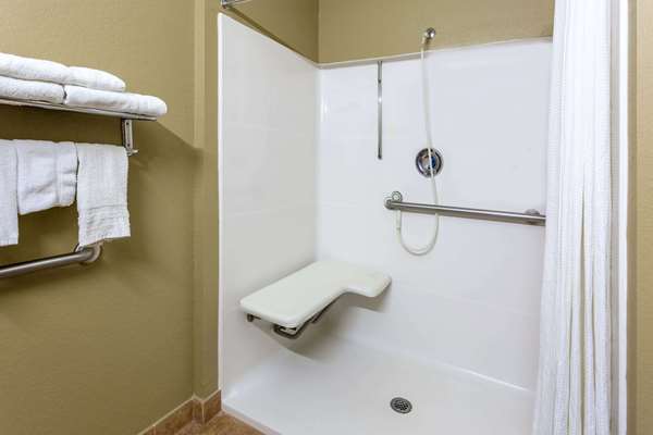  - Microtel Inn & Suites by Wyndham Norcross - I-85, Exit 99
