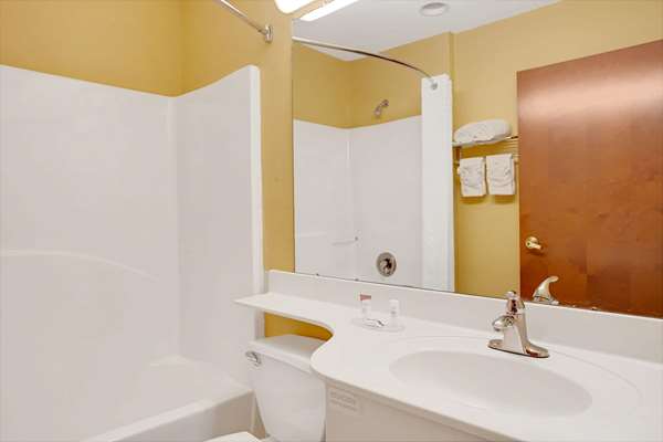  - Microtel Inn & Suites by Wyndham Stockbridge - I-75, Exit 224
