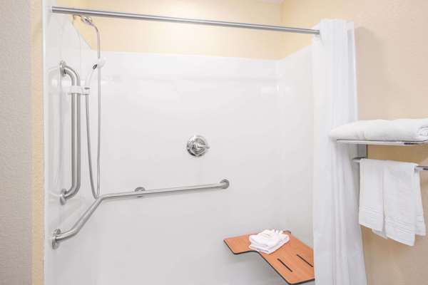  - Microtel Inn & Suites by Wyndham Albertville