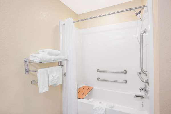  - Microtel Inn & Suites by Wyndham Albertville