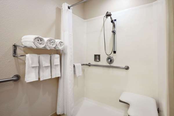  - Microtel Inn & Suites by Wyndham Lodi - I-5, Exit 485