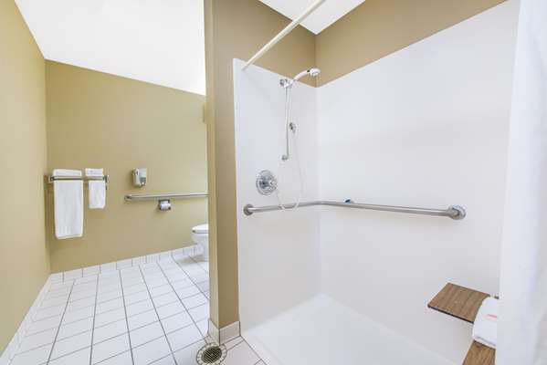  - Microtel Inn by Wyndham Independence