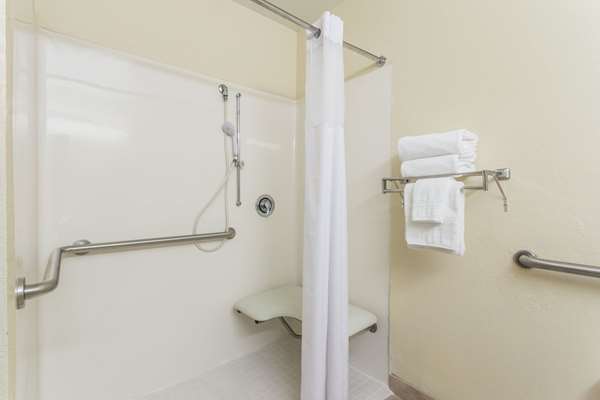  - Microtel Inn & Suites by Wyndham Ocala - I-75, Exit 341