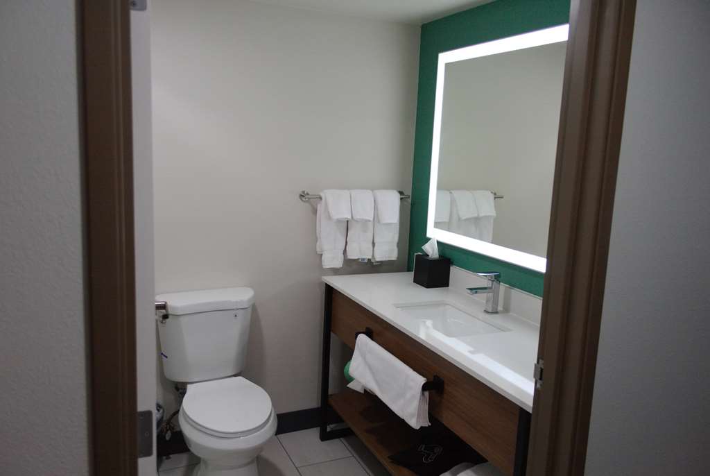 WINGATE BY WYNDHAM PARKERSBURG/VIEN-guestroom-Guest Room,Bathroom,On-Site.jpg
