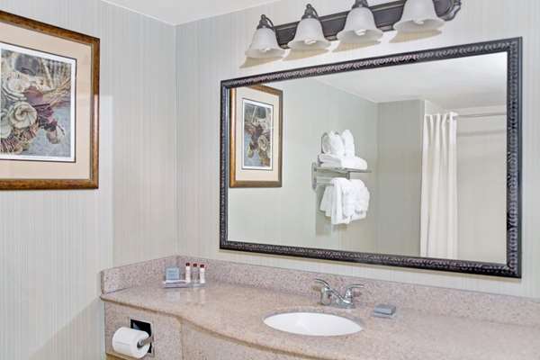  - Wingate by Wyndham North Charleston - I-26, Exit 205B