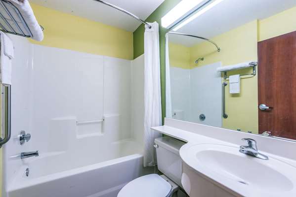  - Microtel Inn & Suites by Wyndham Auburn - I-85, Exit 51