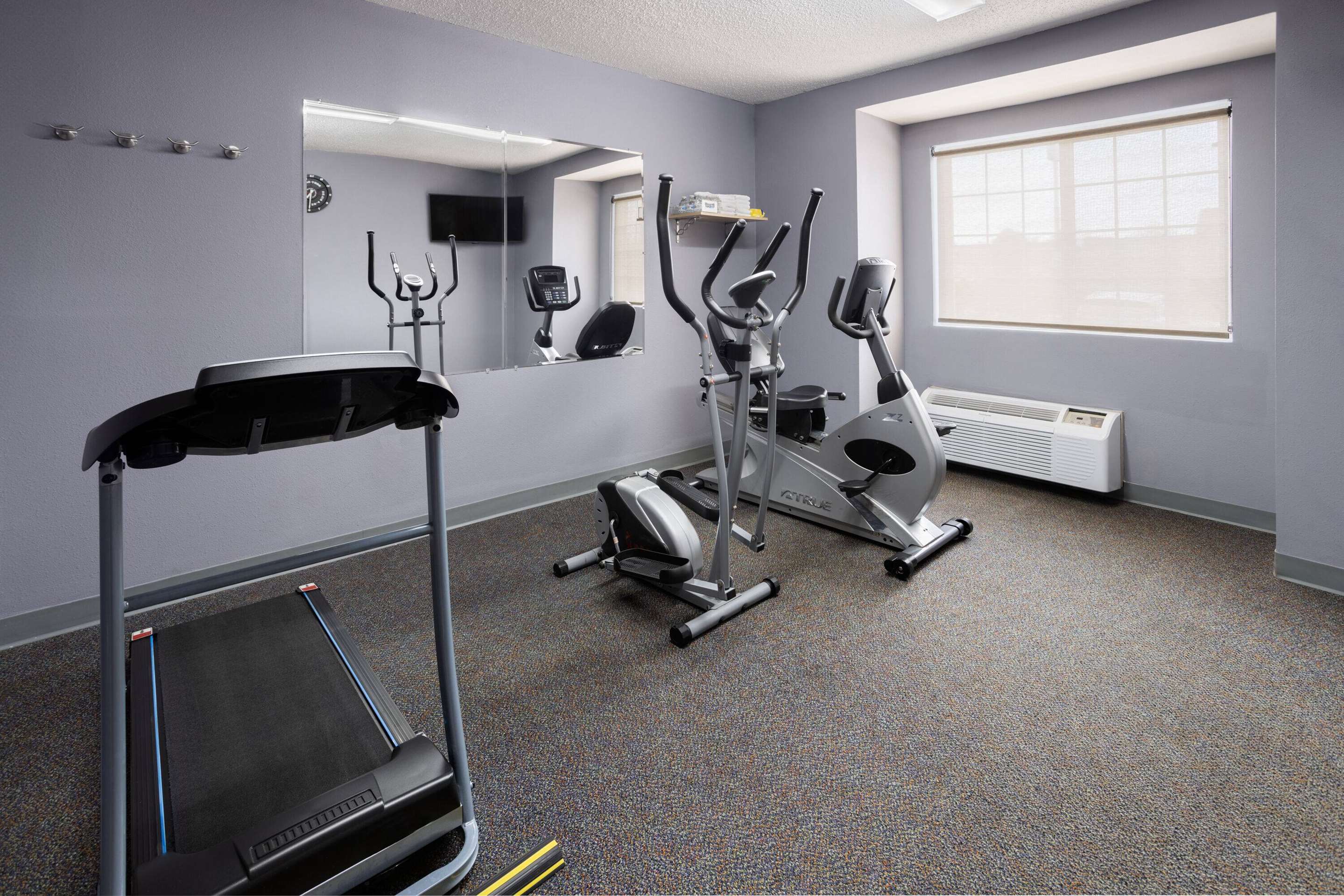 Health club fitness center gym