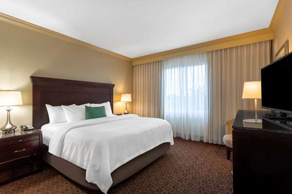 Suite - Hawthorn Suites by Wyndham West Palm Beach - I-95, Exit 71