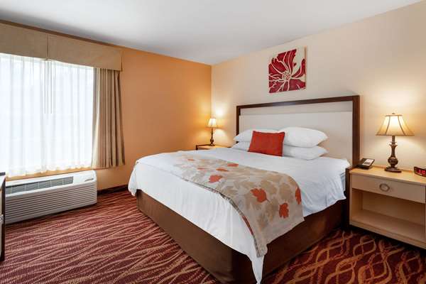 Suite - Hawthorn Suites by Wyndham Fogelsville - I-78, Exit 49