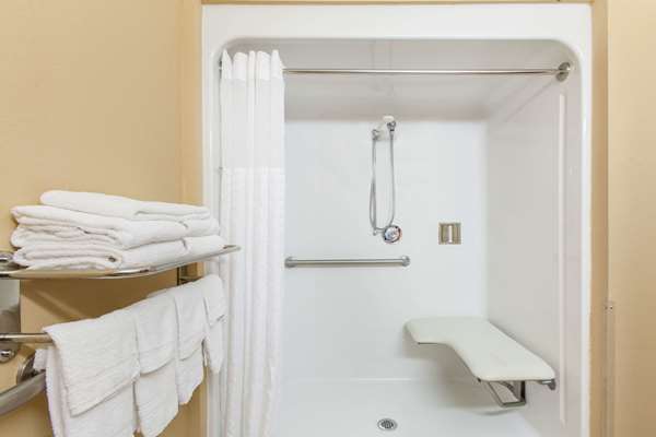  - Microtel Inn & Suites by Wyndham Rogers