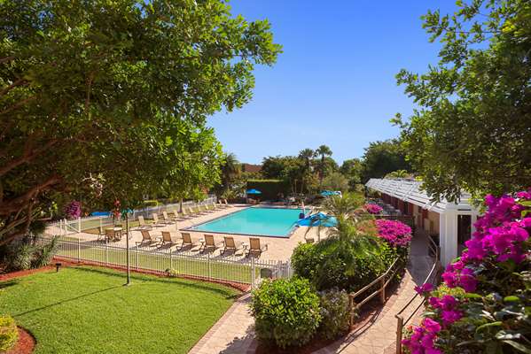 Pool - Ramada Inn Naples